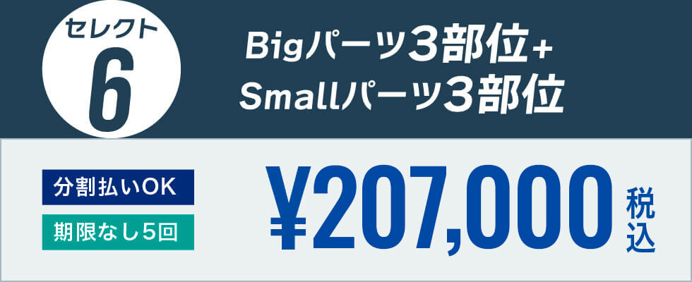 Bigパーツ3部位+Smallパーツ3部位